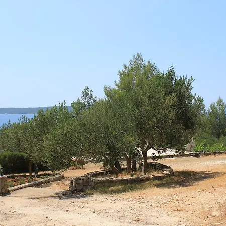 Zavala 15357b شقة ييلسا